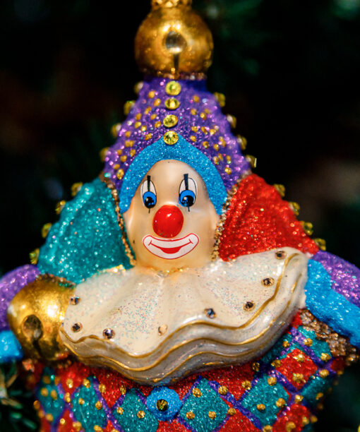 Circus clown  1k0a9799