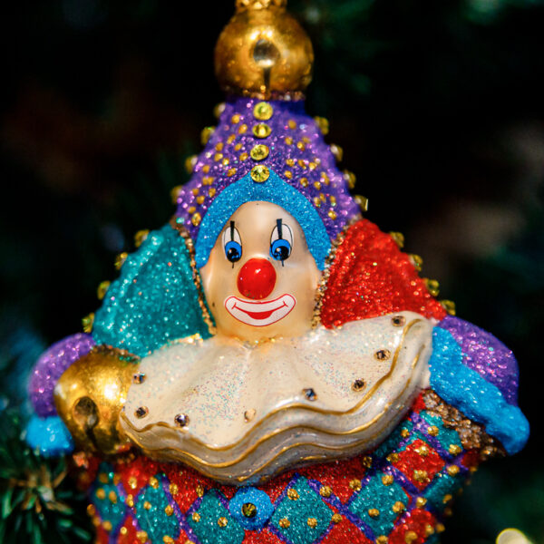 Circus clown 1k0a9799