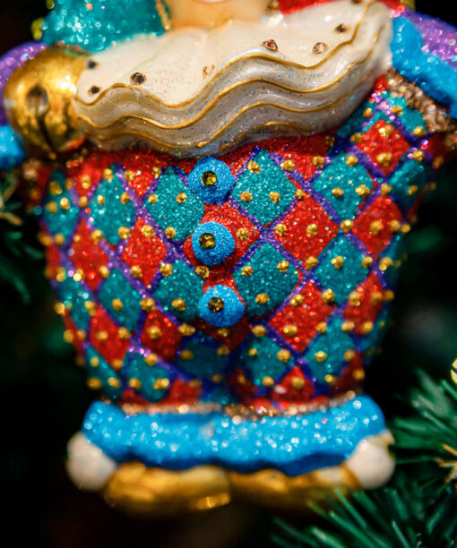 Circus clown  1k0a9800