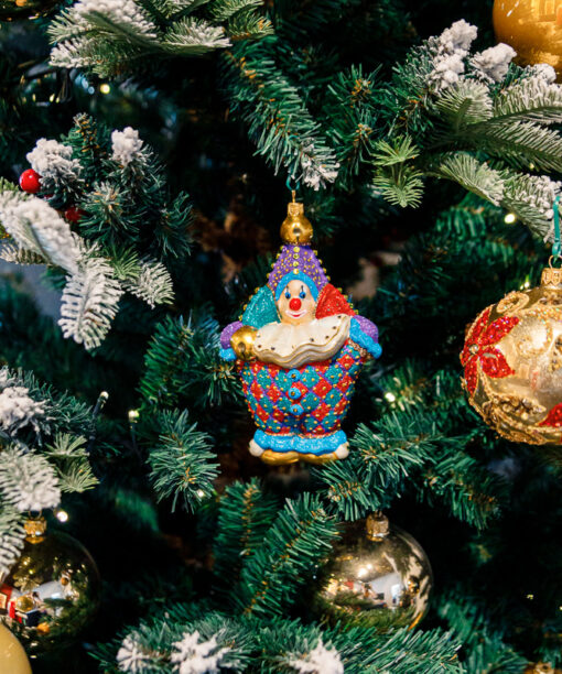 Circus clown  1k0a9801