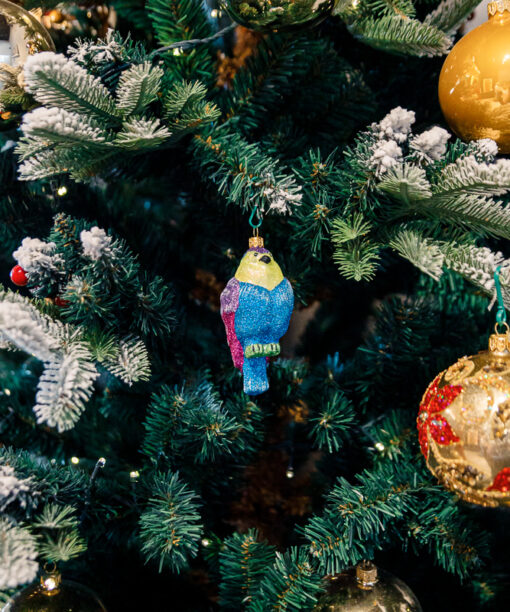 Glitter bullfinch 1k0a9807