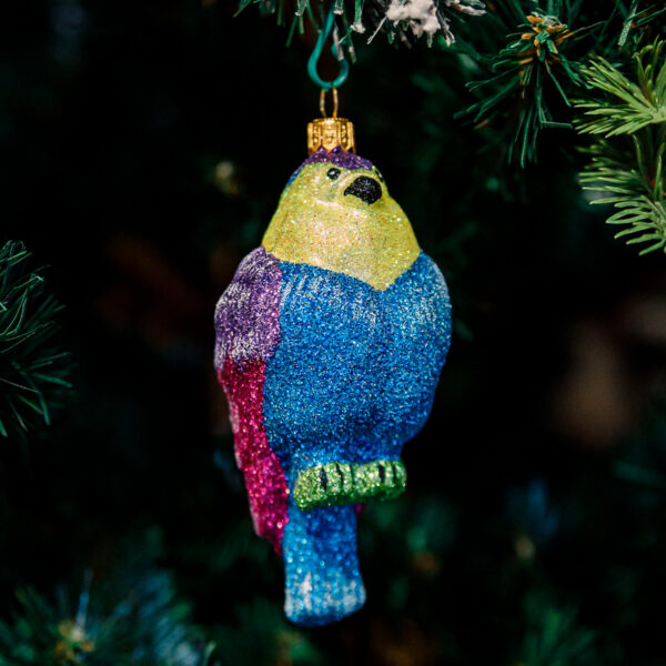 Glitter bullfinch 1k0a9808