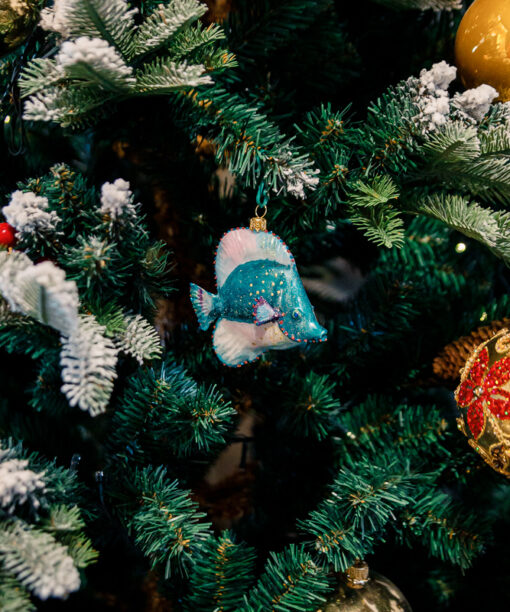 Spiubek turquoise fish  1k0a9809