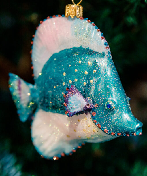 Spiubek turquoise fish  1k0a9810