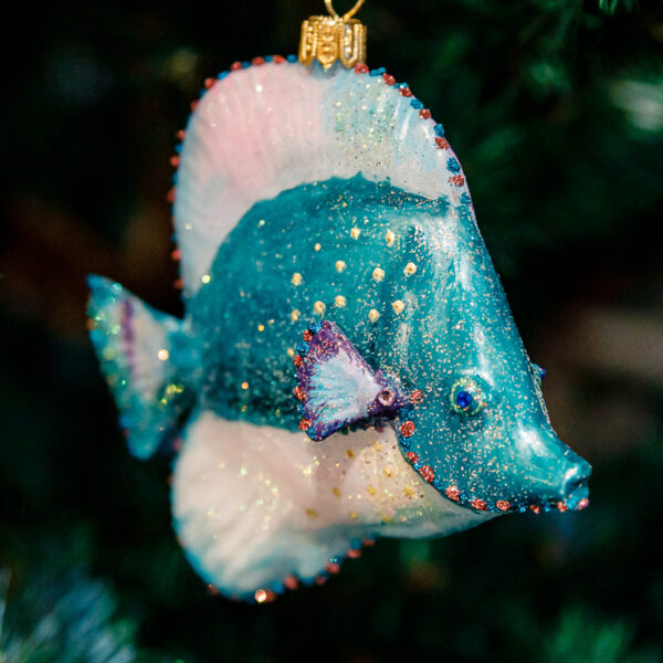 Spiubek turquoise fish 1k0a9810