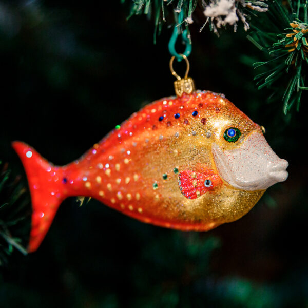Spiubek orange-red fish 1k0a9813