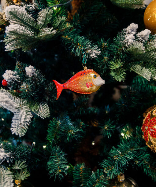 Spiubek orange-red fish  1k0a9814