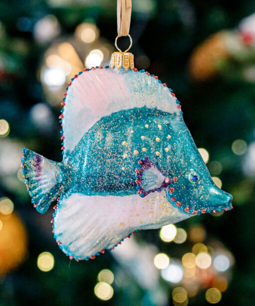 Spiubek turquoise fish  1k0a9838