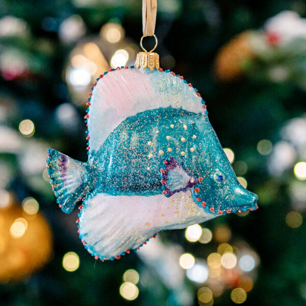 Spiubek turquoise fish 1k0a9838