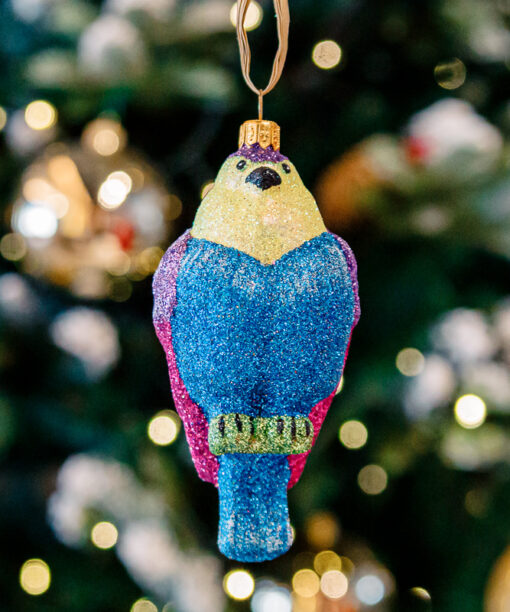 Glitter bullfinch 1k0a9841