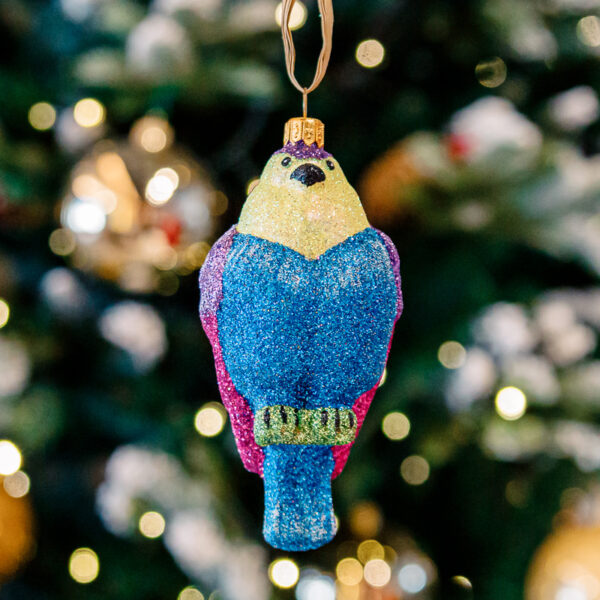Glitter bullfinch 1k0a9841