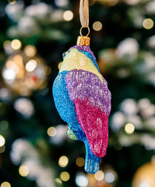 Glitter bullfinch 1k0a9842