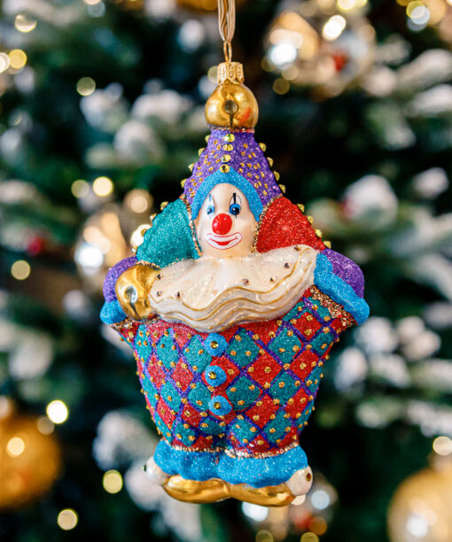 Circus clown 1k0a9843