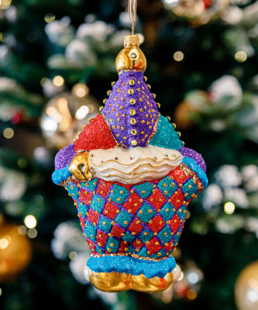 Circus clown 1k0a9844