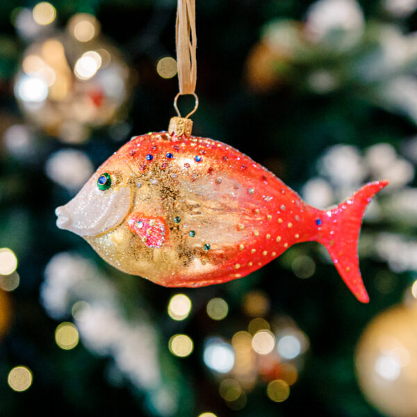 Spiubek orange-red fish 1k0a9846