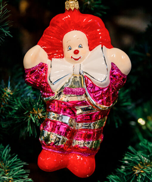 Joker clown  1k0a9855