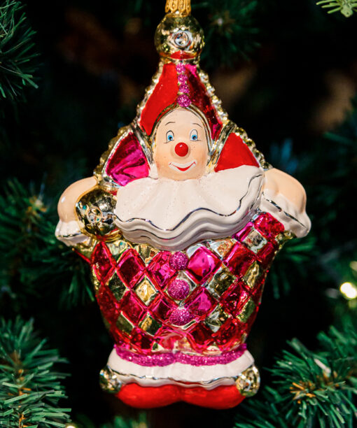 Pink circus clown  1k0a9859