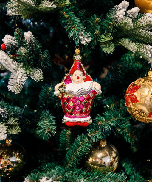 Pink circus clown  1k0a9860