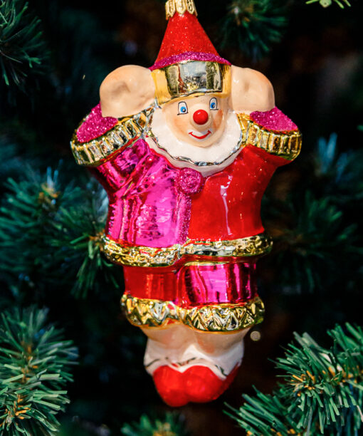 Pink leaping clown  1k0a9863