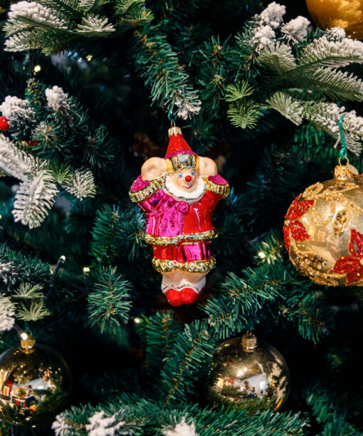 Pink leaping clown  1k0a9864