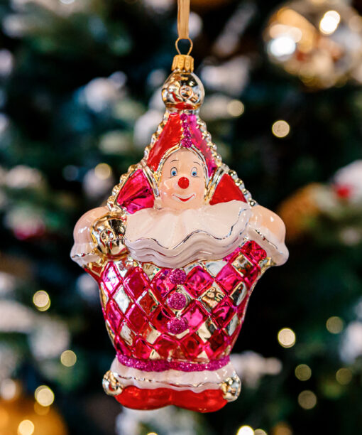 Pink circus clown  1k0a9885