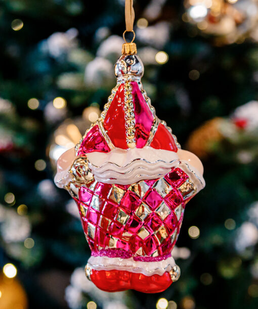 Pink circus clown  1k0a9888