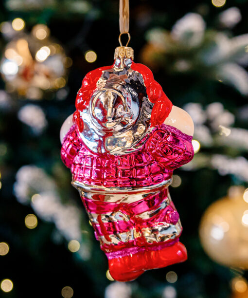 Joker clown  1k0a9895