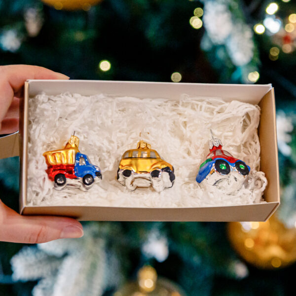 Mini set - Cars 1k0a9955