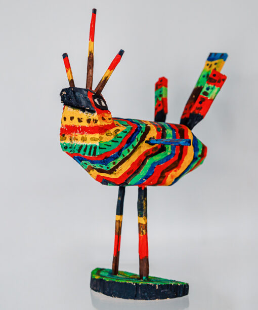 Afrykański ptak kolorowy 1k0a0728