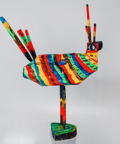 Afrykański ptak kolorowy 1k0a0729