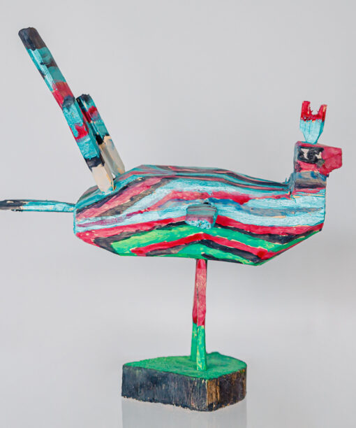 African pastel bird 1k0a0730