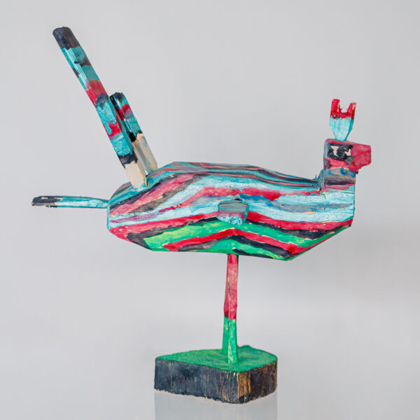 African pastel bird 1k0a0730