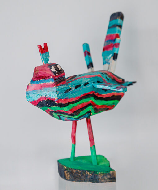 African pastel bird 1k0a0731