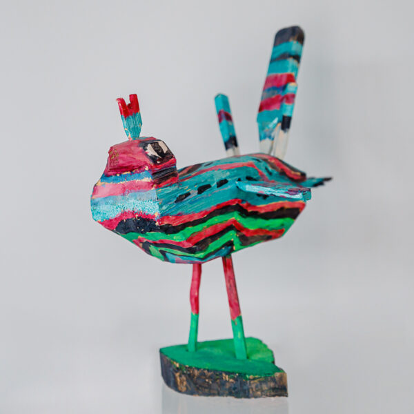 African pastel bird 1k0a0731
