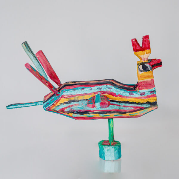 African colorfully bird 1k0a0738