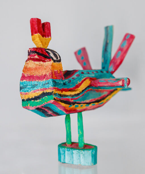African colorfully bird 1k0a0739