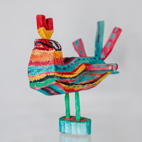 African colorfully bird 1k0a0739