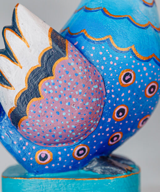 Jerzy Zbrożek - blue-purple peacock  1k0a0742