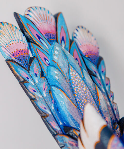 Jerzy Zbrożek - blue-purple peacock  1k0a0743