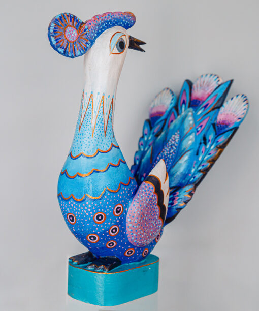 Jerzy Zbrożek - blue-purple peacock  1k0a0744