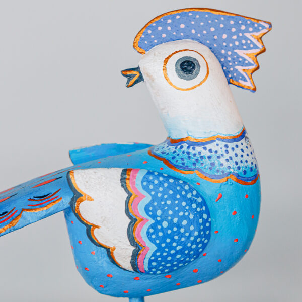 Jerzy Zbrożek - navy blue bird 1k0a0790