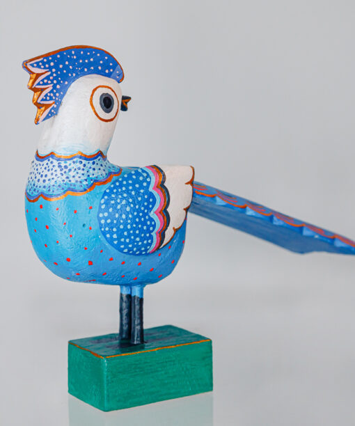 Jerzy Zbrożek - navy blue bird  1k0a0792