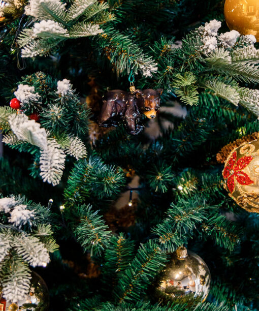 Black bear  1k0a1848