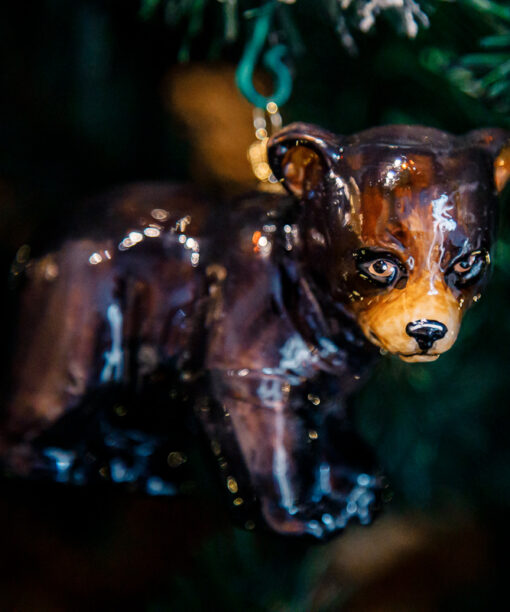 Black bear  1k0a1850