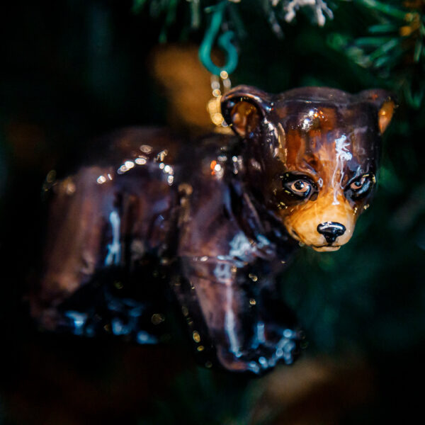 Black bear 1k0a1850