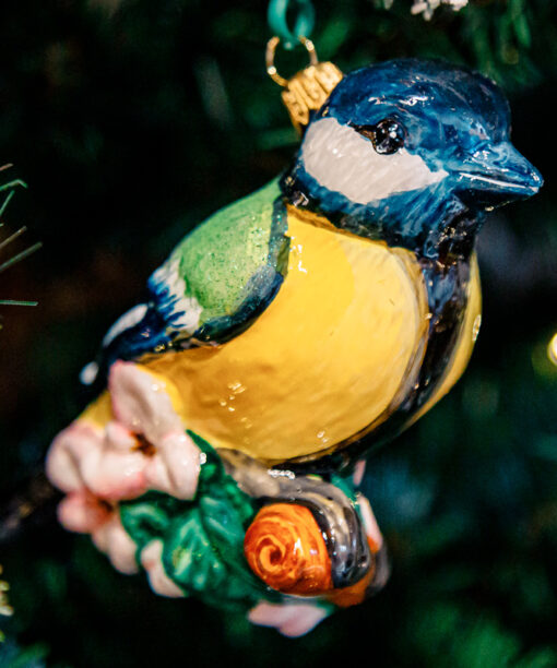 Yellow - green titmouse  1k0a1854