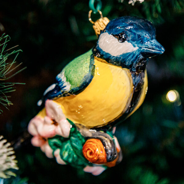 Yellow - green titmouse 1k0a1854