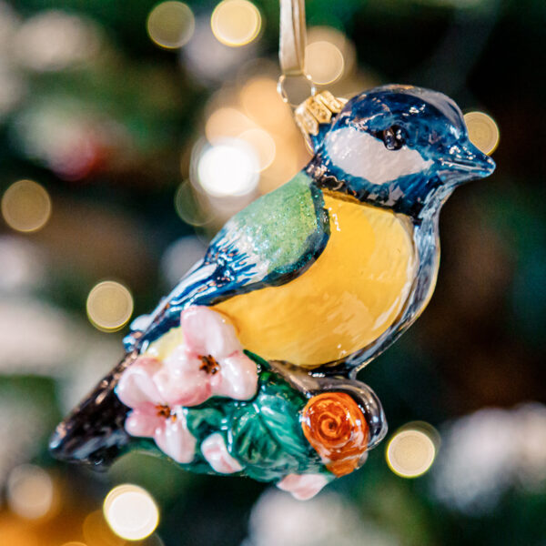 Yellow - green titmouse 1k0a1864