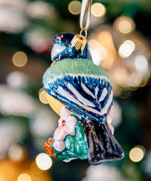 Yellow - green titmouse  1k0a1865