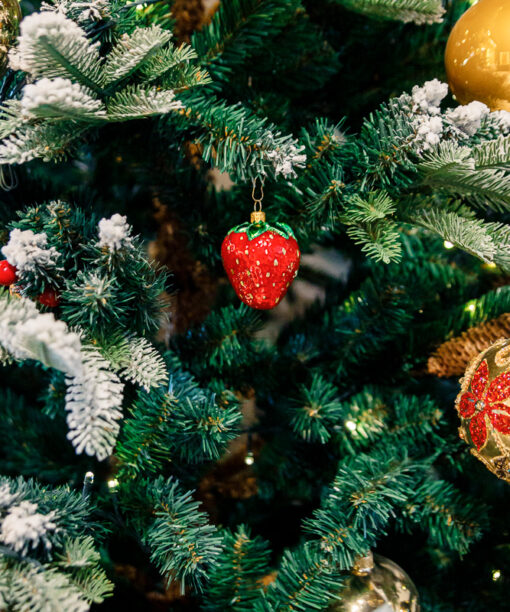 Strawberry  1k0a3222